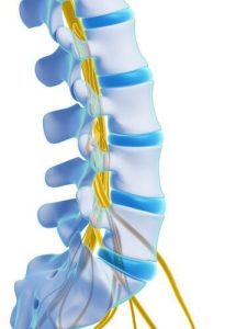 Spinal Cord Stimulator